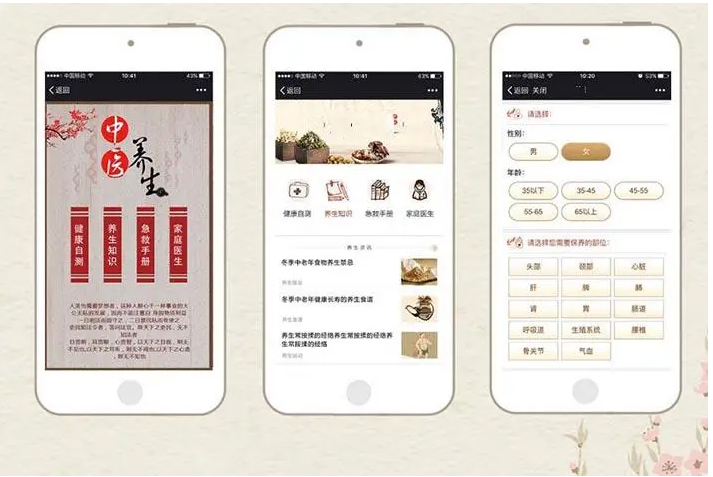 中(zhōng)醫app系統能解決傳統中(zhōng)醫哪些問題